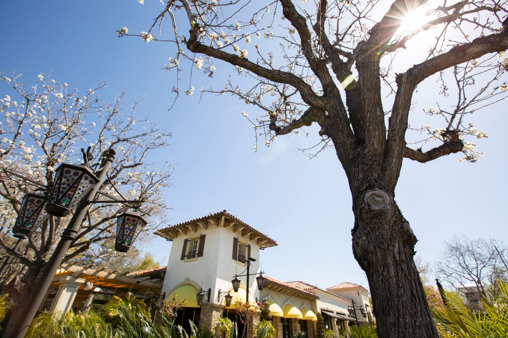 Springtime view of the historic downtown area of Thousand Oaks,